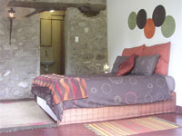 Book The Tree Frog Room Now