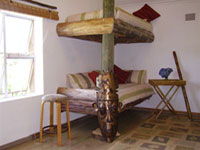 Book Dwarf Chameleon Dormitory Now