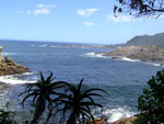 Tsitsikamma National Park